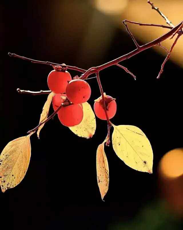 十劝世人大实话完整版,十劝世人大实话