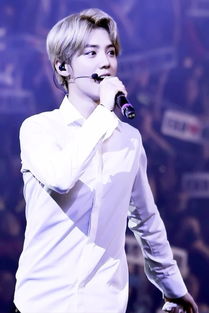 鹿晗哪些歌很好听,鹿晗有什么好听的歌