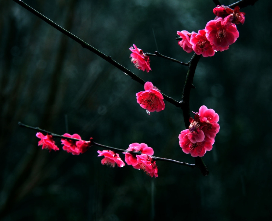 十劝世人大实话完整版,十劝世人大实话