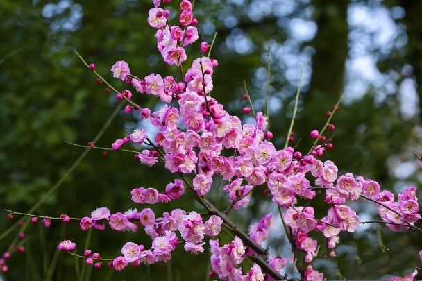 十劝世人大实话完整版,十劝世人大实话