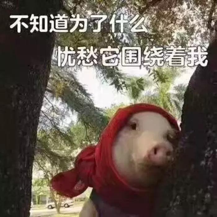 婚礼宾客最厌恶的几件事,婚礼上的尴尬事怎么办