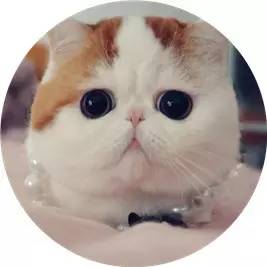 盘点那些不露脸长得很好看的网红,那些头像丑到爆的网红