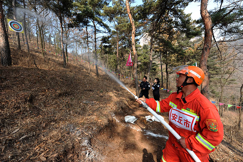 亲山近水享绿色福利，五彩鸢都创森林潍坊
