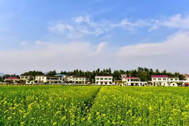 浏阳启动全域美丽乡村示范县,市创建震撼推出十条休闲农业与乡村旅游精品线路