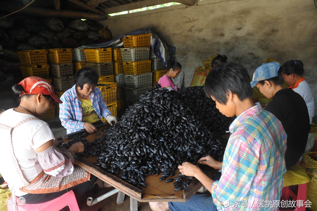 男子因为嚼槟榔舌头肿大,嚼槟榔34年被切掉一半的男人