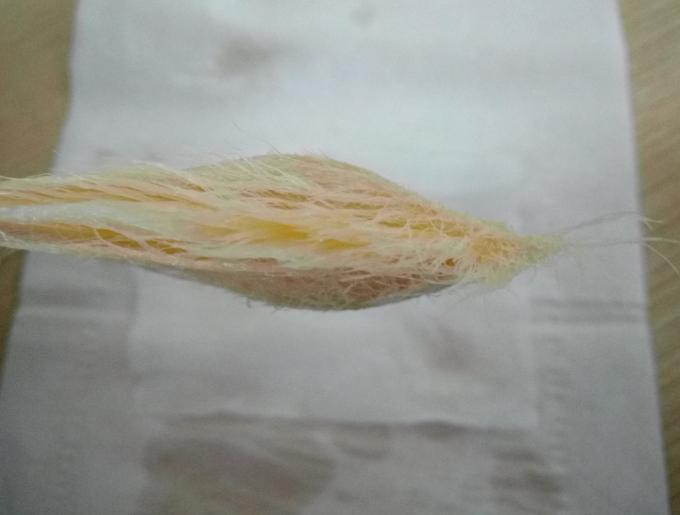 制作一枚精美的书签,如何制作精美又简单的个性化书签