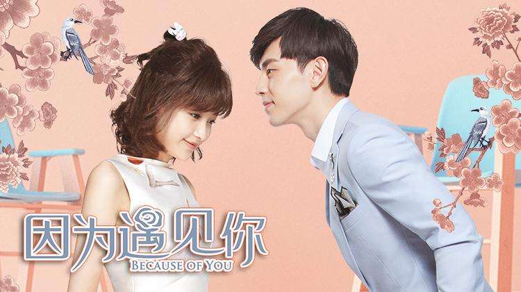 那年花开月正圆收视率最高的是谁,那年花开收视率排行