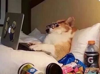 王者光荣视频都不怎么搞笑，搞笑的都是网名！