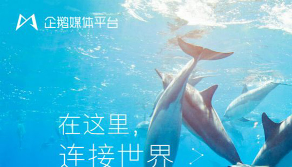 新手企鹅号视频只发布到qq浏览器,企鹅号怎么增加浏览量