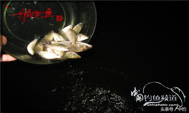 夜钓继续过小瘾，回家煲煲爱心粥