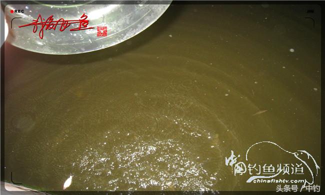 夜钓继续过小瘾，回家煲煲爱心粥