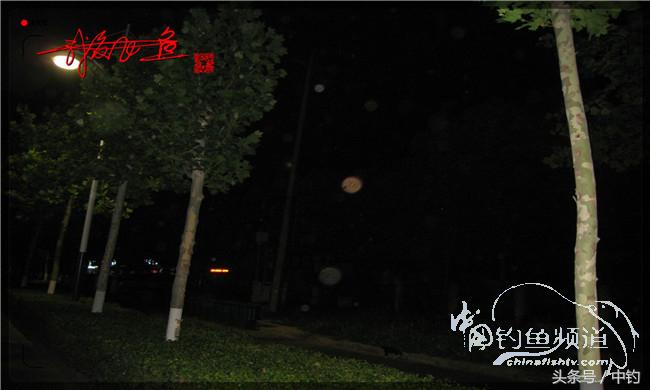 夜钓继续过小瘾，回家煲煲爱心粥