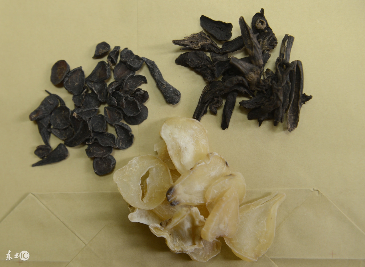 中药原料涨价,中药五味子涨价