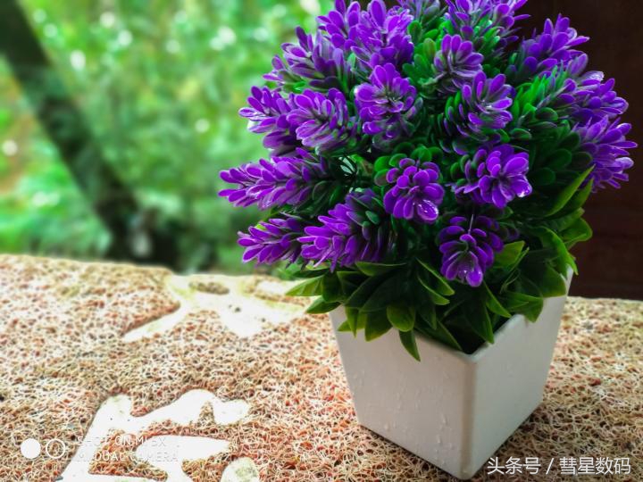 小米5分享,小米5X现在还能用吗