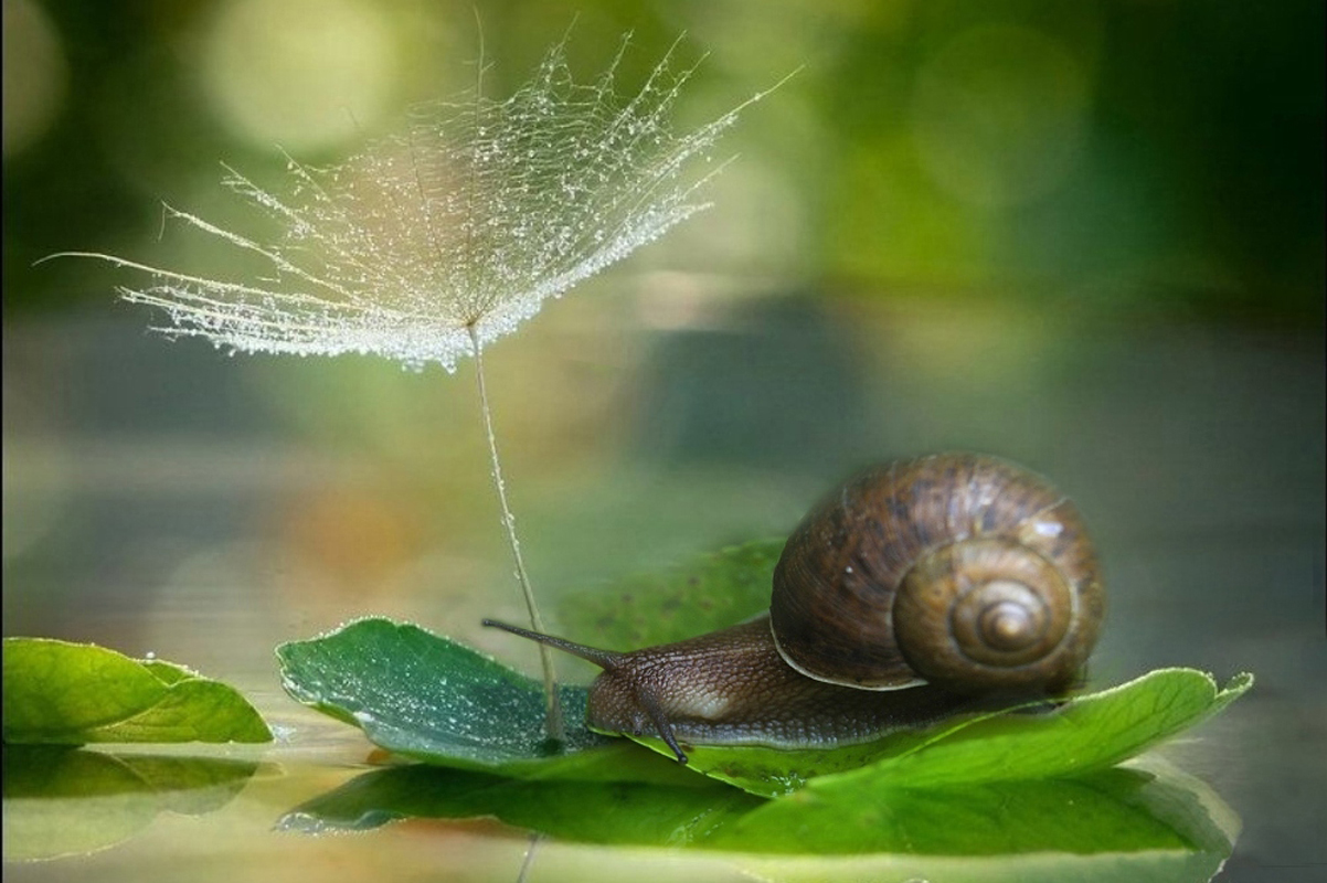 螺旋宇宙的奥秘,螺旋的未解之谜