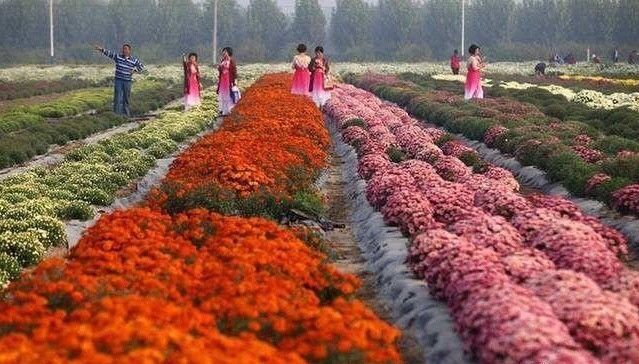 天津时事新闻事件,天津24小时新闻视频