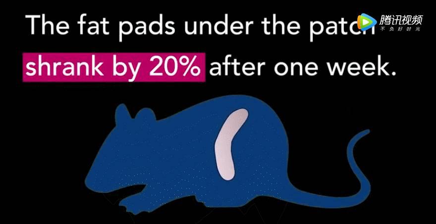 不用节食一周也能瘦8斤的方法,15天减掉20斤脂肪的方法