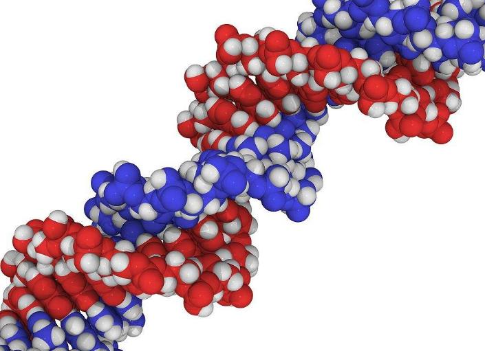 螺旋宇宙的奥秘,螺旋的未解之谜