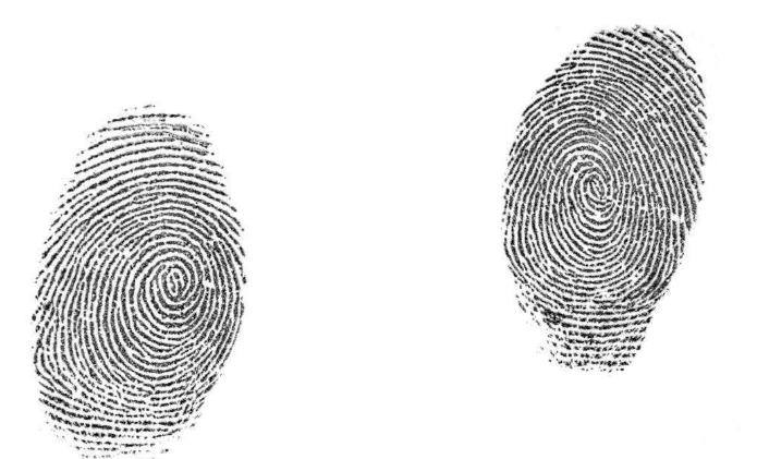 螺旋宇宙的奥秘,螺旋的未解之谜