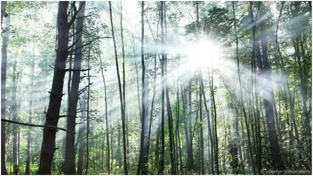 上帝说要有光是怎么来的,上帝说要光就有光