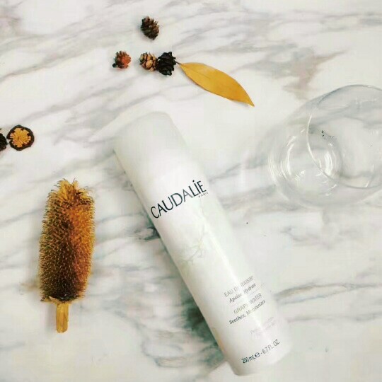 那些更健康的植物系护肤品，我们都为你准备好了（上）