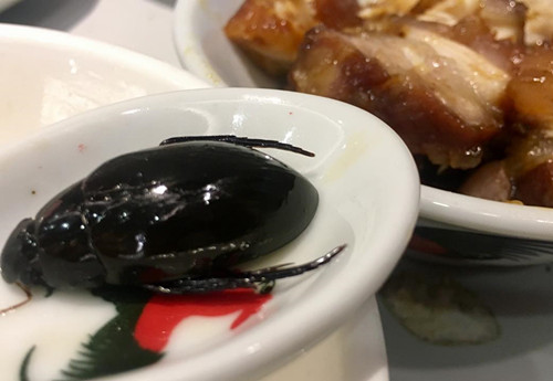 龟苓膏什么地方特产好吃,龟苓膏附近美食