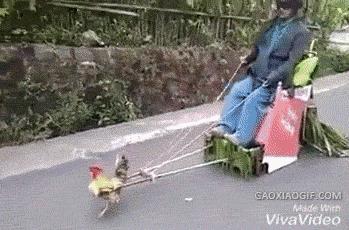 笑话段子大全笑到肚子疼正能量,开心一刻幽默短笑话大全