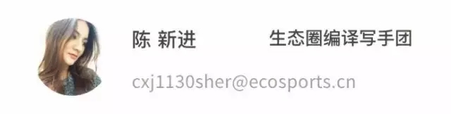 福布斯知名体育经纪人,福布斯体育俱乐部排行榜2022