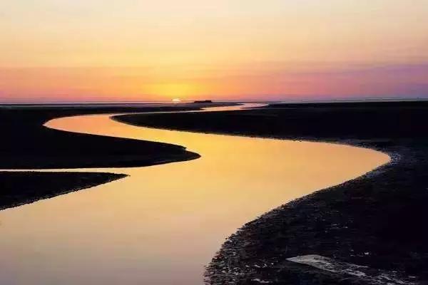 “讲好山东故事”散文丨黄河入海，大美东营