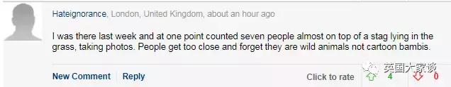 华人伦敦遭鹿攻击酿惨剧，事发地里士满公园警告：务必离鹿50米！