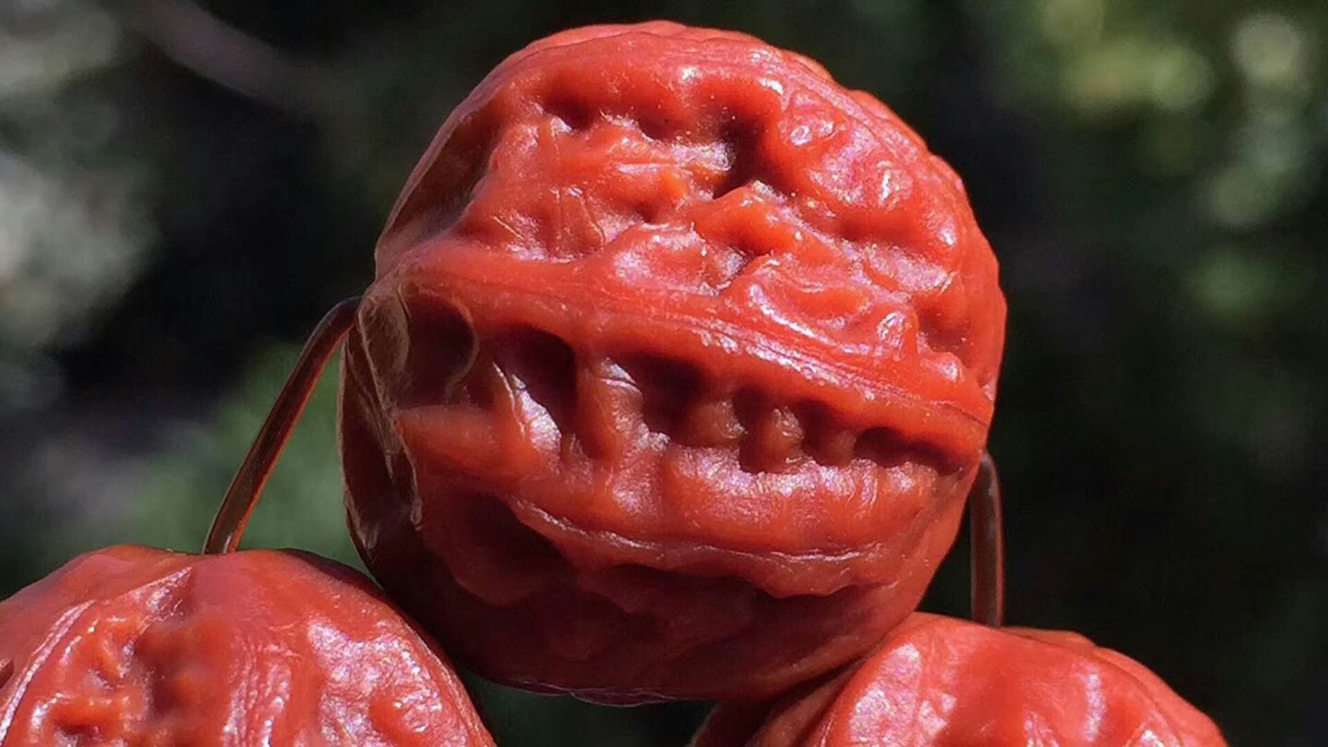 最值得玩的小核桃手串,老核桃手串收藏