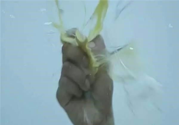 香港谭道良主演电影,香港四大腿王电影合集