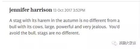 华人伦敦遭鹿攻击酿惨剧，事发地里士满公园警告：务必离鹿50米！