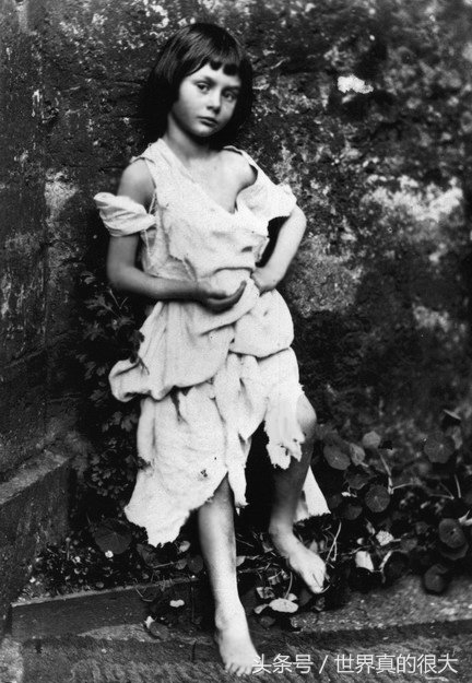 爱丽丝漫游奇境印象最深的故事,爱丽丝漫游奇境去过的七个地方