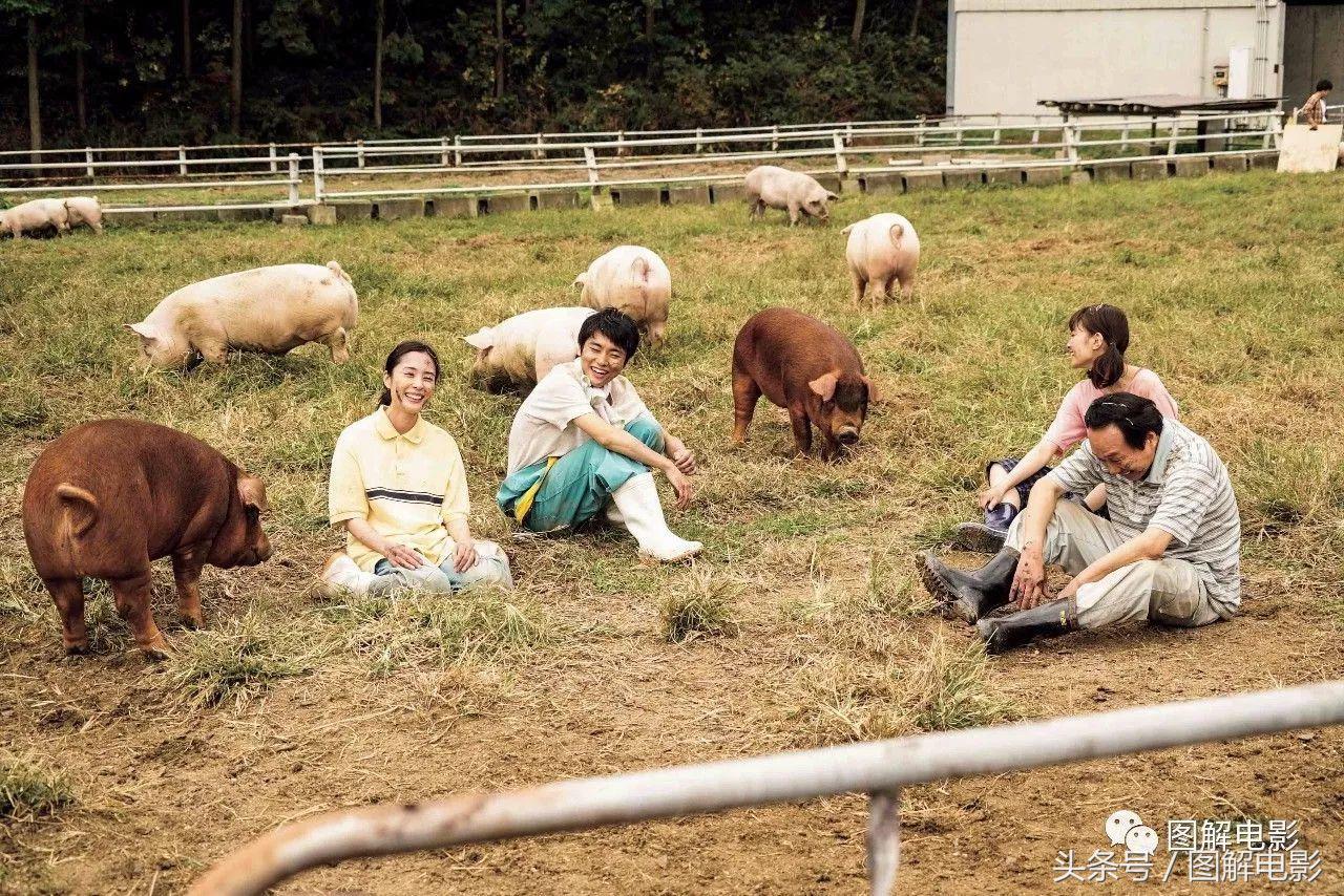 2017骞寸殑绉戝够浜插瓙楂樺垎鐢靛奖,2019骞寸殑绉戝够浜插瓙楂樺垎鐢靛奖