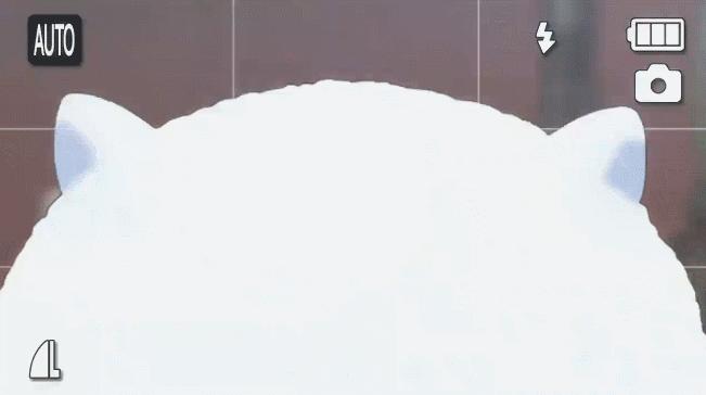 请问你今天要来点兔子吗在哪看,请问今天要来点兔子吗