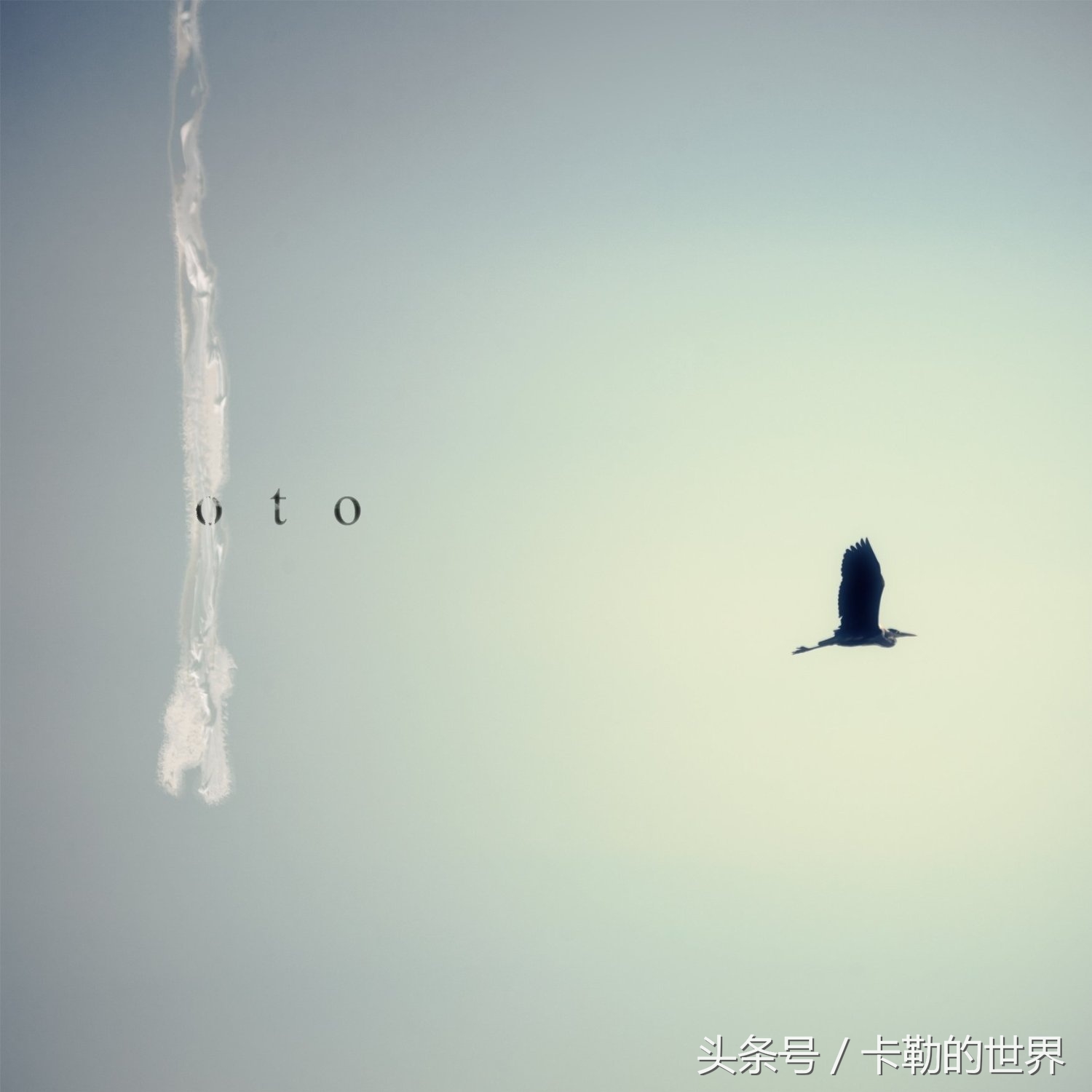 音乐风格trap,trap风格音乐特点