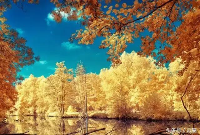 不出辽宁去哪里玩最好,不出沈阳市也能玩得很开心