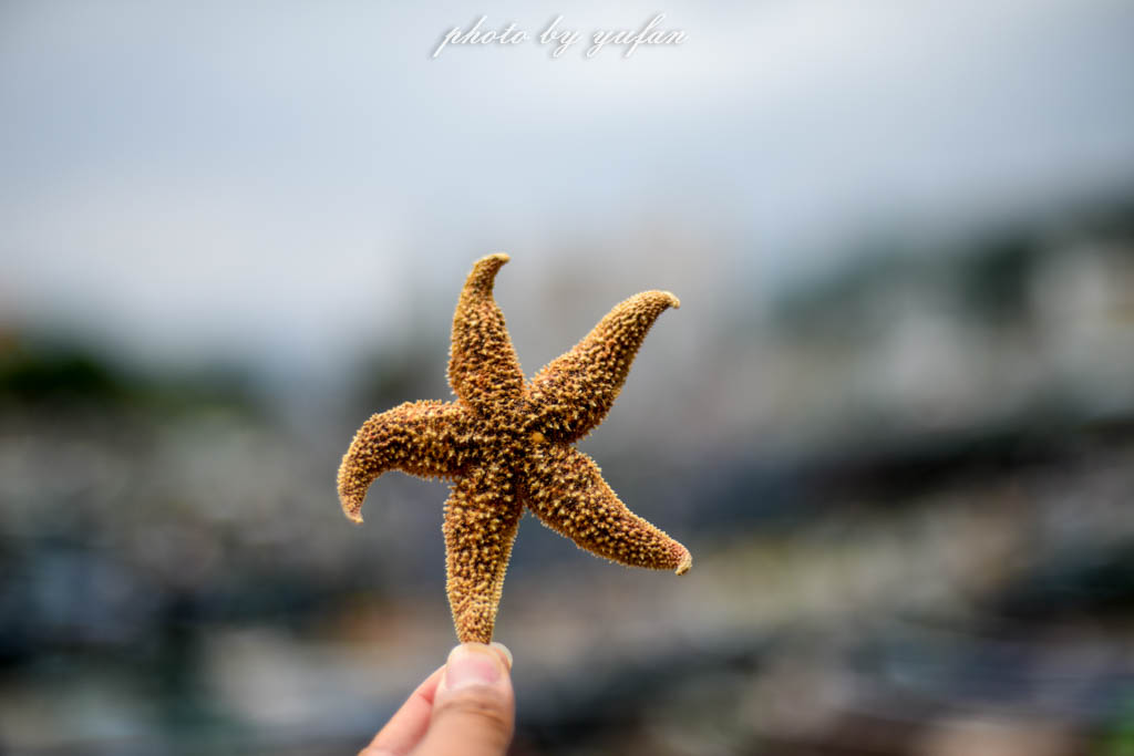 玩转惠州周边游,大亚湾附近吃喝玩乐地方