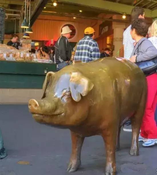 世界上最贵的猪身价竟达到100多万,养100年最贵的猪