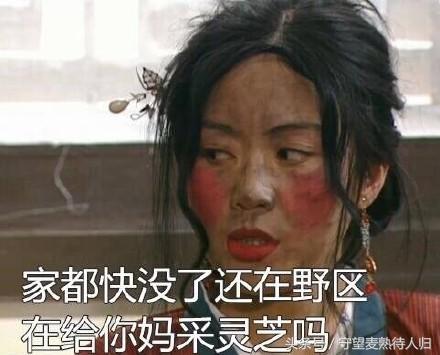 王者光荣玩着太菜被队友嘲笑了,玩王者光荣是如何惩罚不要脸队友