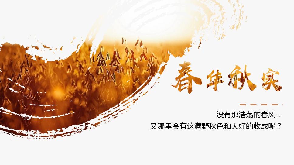 好看的ppt排版格局,ppt一张图排版高级感