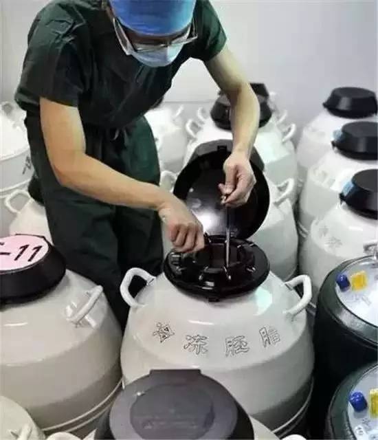人工授精的原理是什么样的,人工授精由来