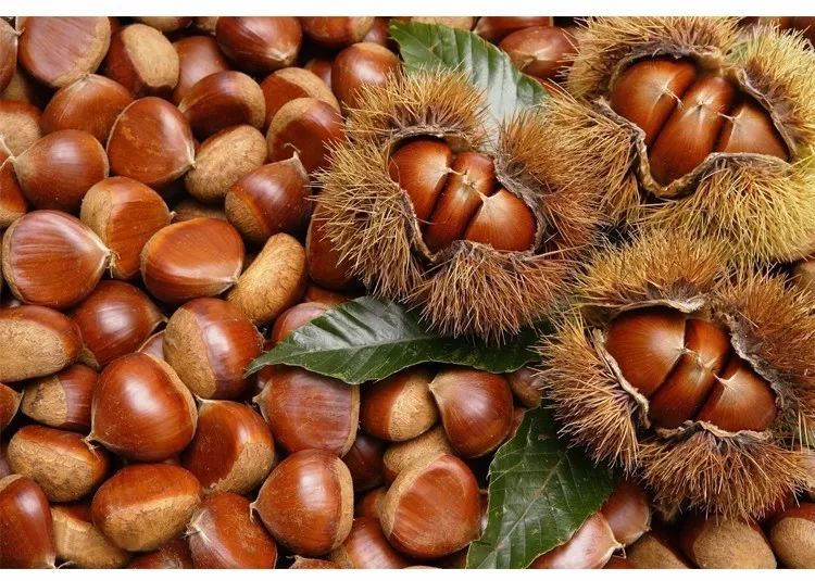 市场上的炒板栗是用糖精吗,炒板栗商家用糖精可以吃吗