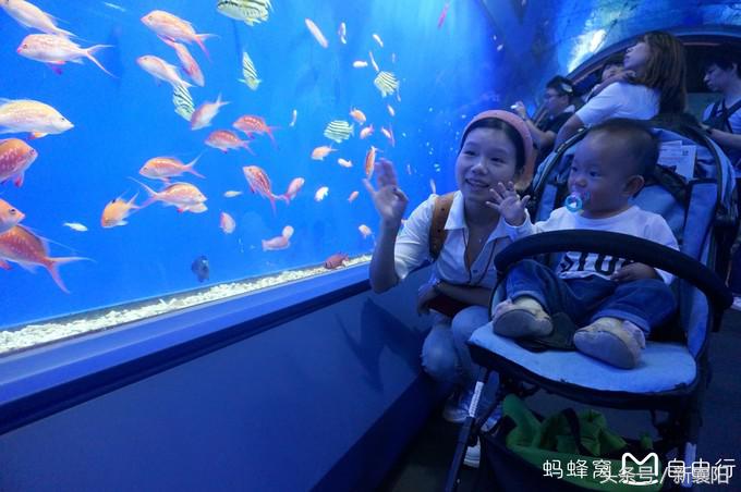 带娃去日本一周自由行,带四岁孩子去日本穷游攻略