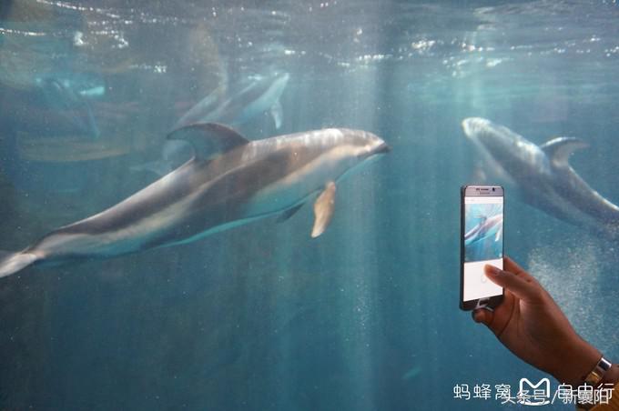 带娃去日本一周自由行,带四岁孩子去日本穷游攻略