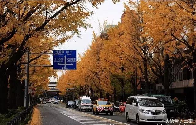 不出辽宁去哪里玩最好,不出沈阳市也能玩得很开心