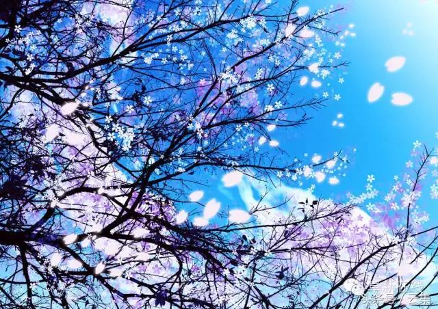 不出辽宁去哪里玩最好,不出沈阳市也能玩得很开心