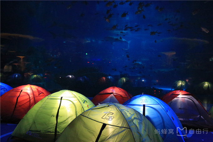 长隆度假区有哪些景点,珠海长隆度假区旅游攻略