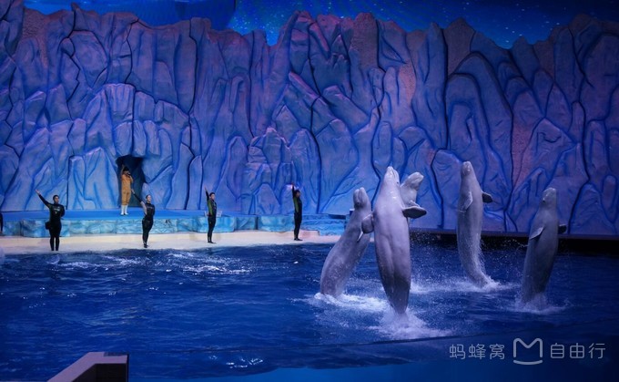 长隆度假区有哪些景点,珠海长隆度假区旅游攻略